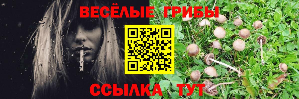 Кизляр  Галлюциногенные грибы Psilocybine cubensis  Галлюциногенные грибы мицелий  Вход с VPN 
